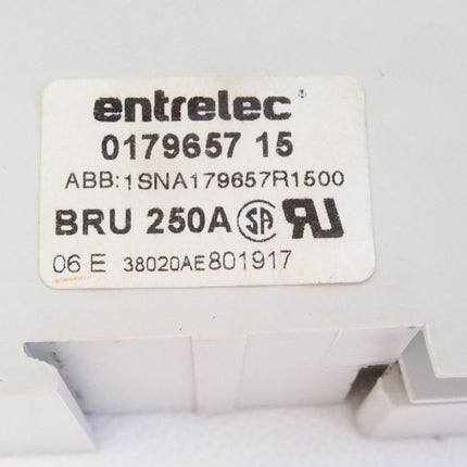 Entrelec 017965715 1SNA179657R1500 BRU 250A