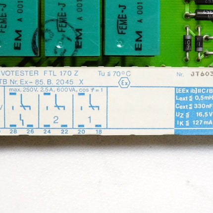 Endress+Hauser Einschubkarte FTL170Z  Nivotester