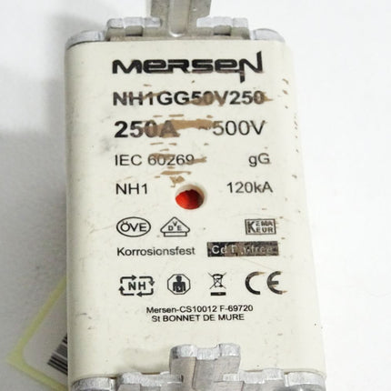 Mersen Sicherung NH1GG50V250 250A 500VAC NH1 120kA