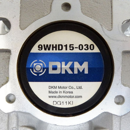 DKM 9WHD15-030 9IDGG-120FWH-T Induction Motor 1300r/min / Neuwertig